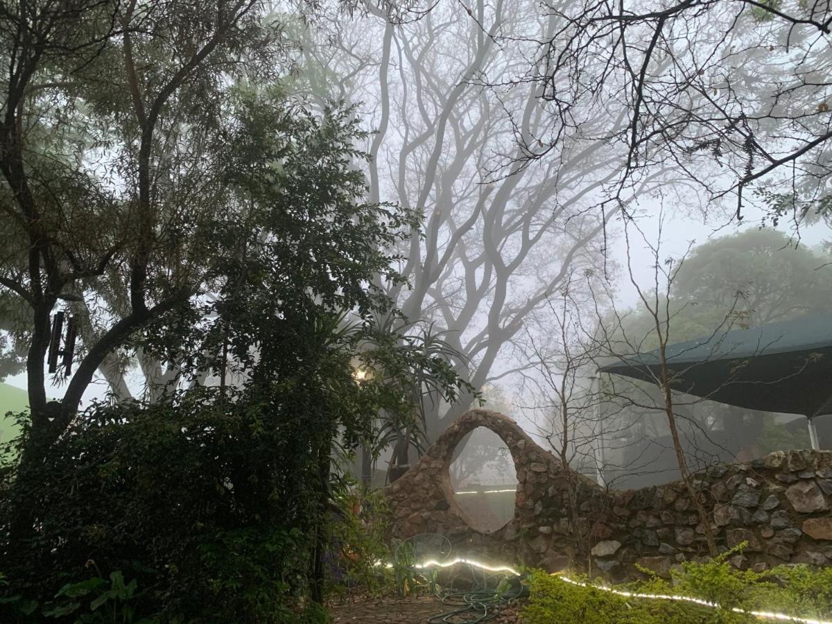 Rabbit Hole Hotel Johannesburg Luaran gambar
